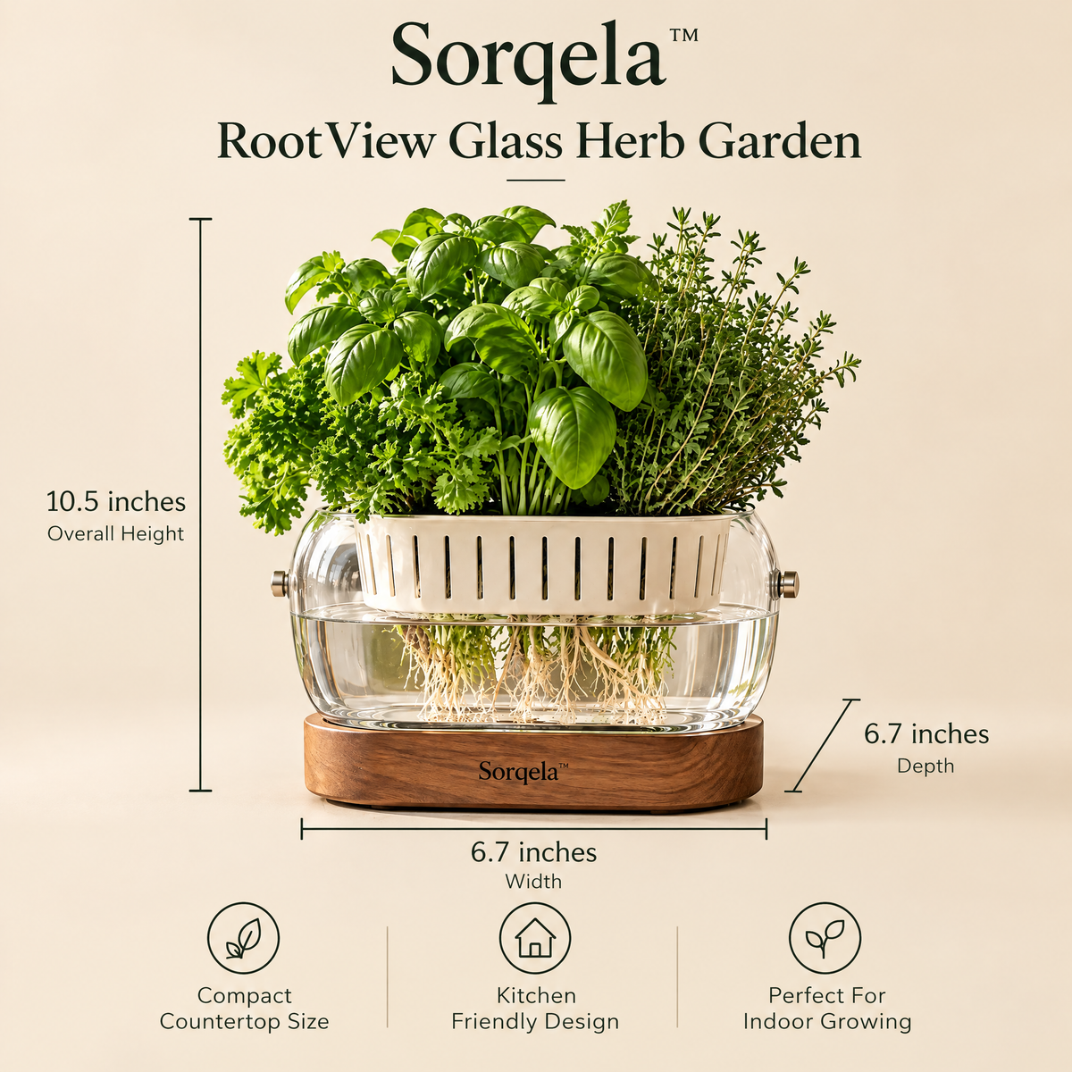 RootView Glass Herb Garden