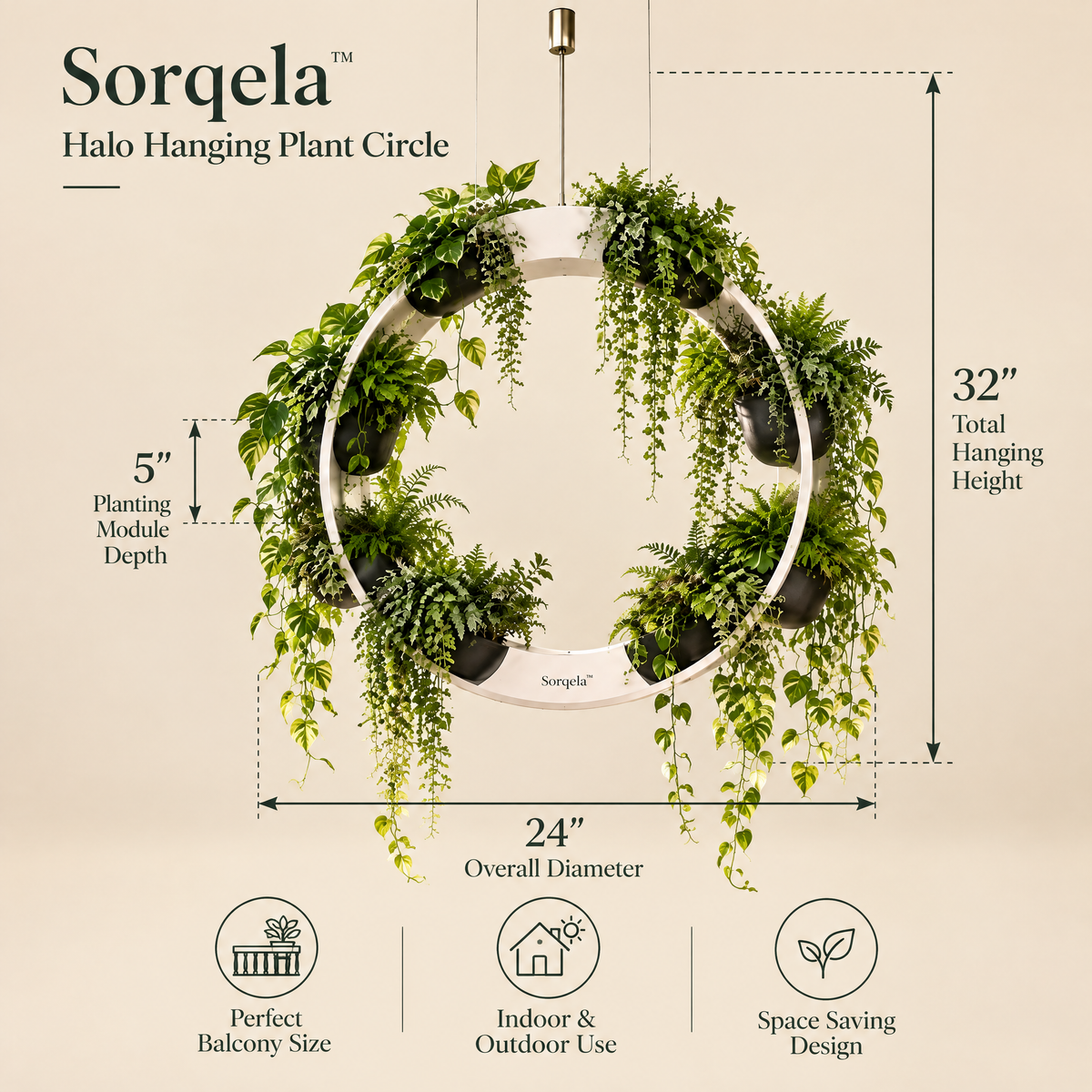 Halo Hanging Plant Circle